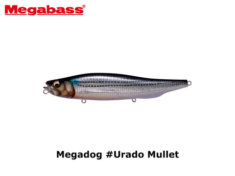 Megabass Megadog #Urado Mullet