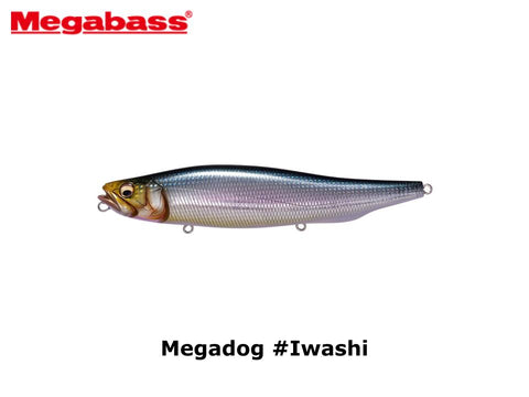 Megabass Megadog #Iwashi