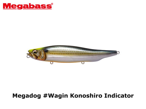 Megabass Megadog #Wagin Konoshiro Indicator