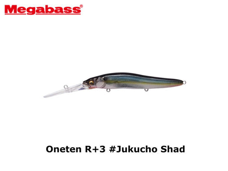 Megabass Oneten R+3 #Jukucho Shad