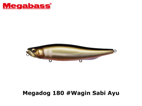 Megabass Megadog 180 #Wagin Sabi Ayu