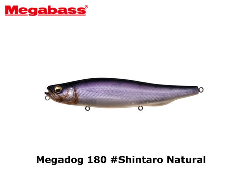 Megabass Megadog 180 #Shintaro Natural
