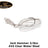 Clear Water Shad
