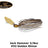 Golden Shiner
