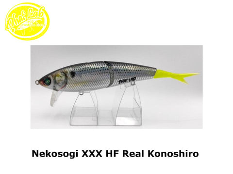 PhatLab Nekosogi XXX HF Real Konoshiro