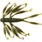 Imakatsu Dread Hog #S-14 Green Pumpkin Pepper