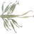 Imakatsu Dread Hog #S-544 Fly