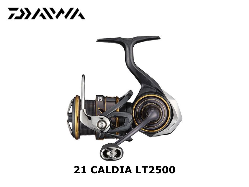 Daiwa 21 Caldia LT2500