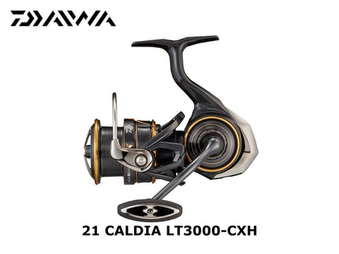 Daiwa 21 Caldia LT3000-CXH