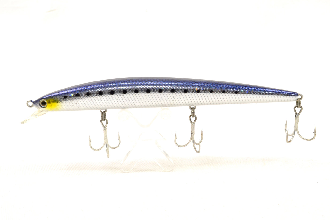 Shore line shiner SL14DT