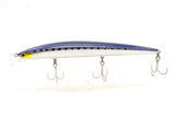 Shore line shiner SL14DT