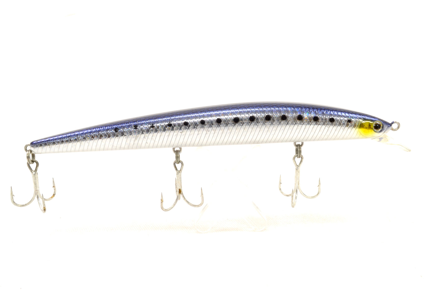 Shore line shiner SL14DT