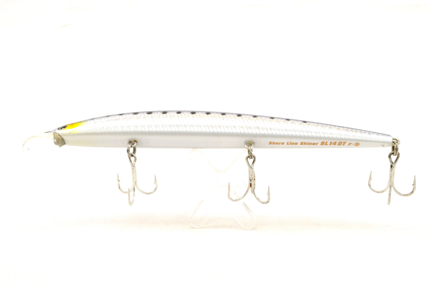 Shore line shiner SL14DT