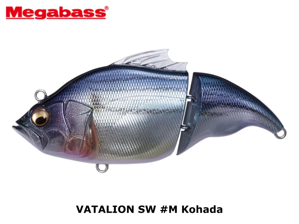 Megabass VATALION SW #M Kohada