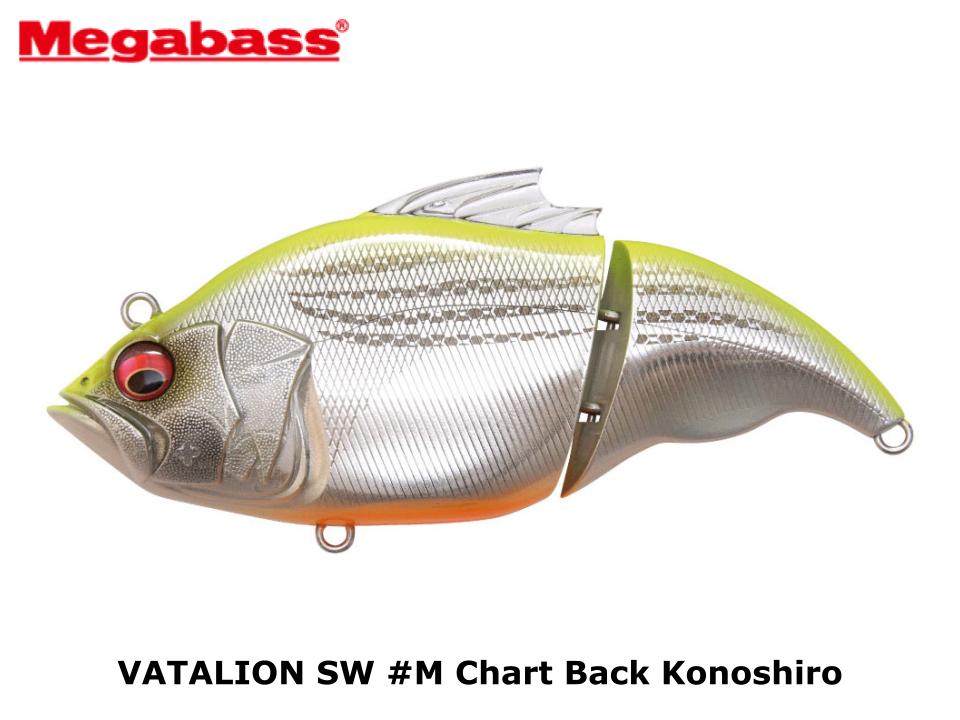 Megabass VATALION SW #M Chart Back Konoshiro