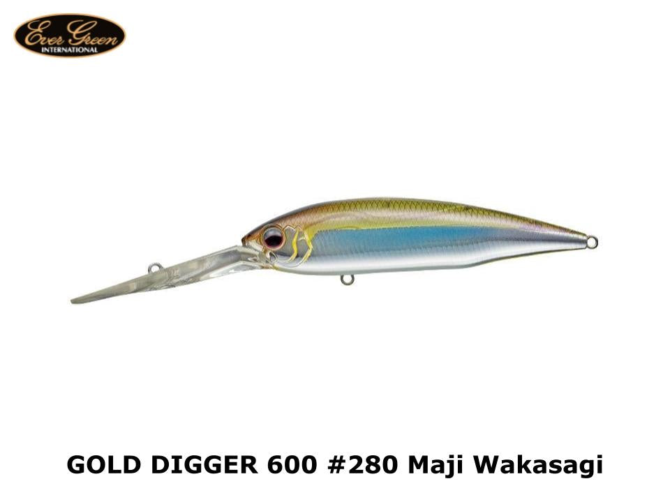 Evergreen Gold Digger 600 #280 Maji Wakasagi – JDM TACKLE HEAVEN