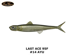 Evergreen Last Ace 95F #14 Ayu