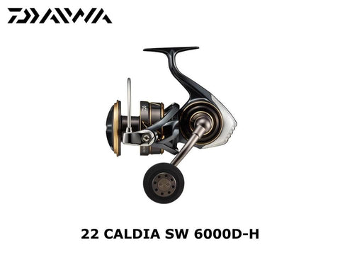 Daiwa 22 Caldia SW 6000D-H
