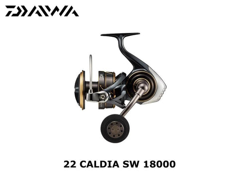 Daiwa 22 Caldia SW 18000