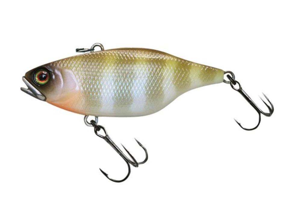 Jackall TN 70 Skull Shell #Maruhara Shiro Gill 70mm 17.3g