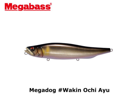 Megabass Megadog #Wakin Ochi Ayu