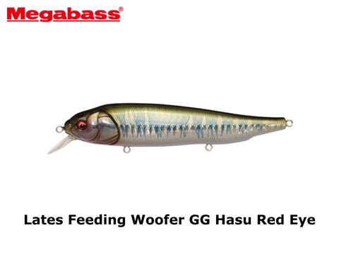 Megabass Lates Feeding Woofer GG Hasu Red Eye