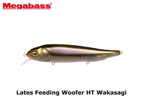 Megabass Lates Feeding Woofer HT Wakasagi