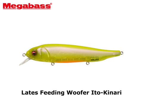 Megabass Lates Feeding Woofer Ito-Kinari