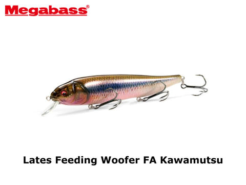 Megabass Lates Feeding Woofer FA Kawamutsu