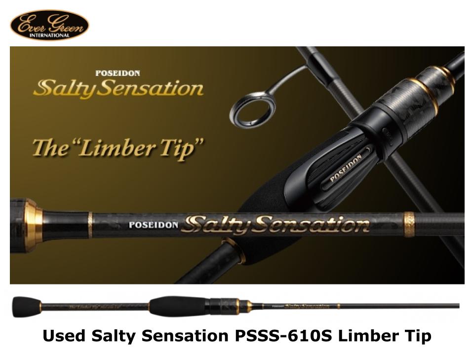 POSEIDON Salty Sensation アジングロッドPSSS-76T EVERGREEN Poseidon Salty Sensation – BS-FISHING