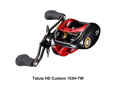 リール DAIWA TATULA HD CUSTOM 153H-TW b072qck19z_fa70a951-c1c2-46d9-