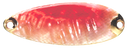 Pure Shell II
