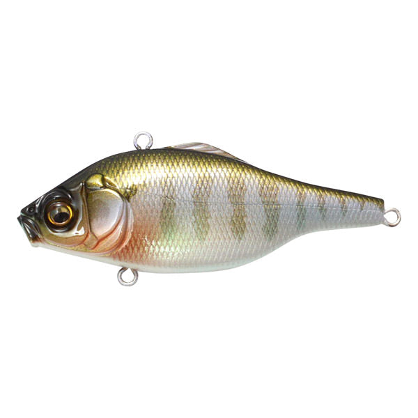 V Rattle Vibration X Ultra Rattle in – JDM TACKLE HEAVEN