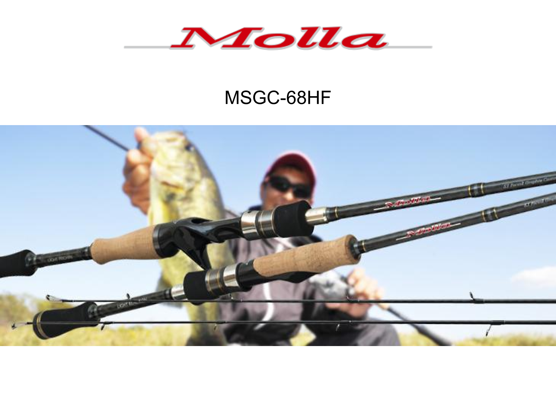 Used Palms Molla MSGC-73MHF